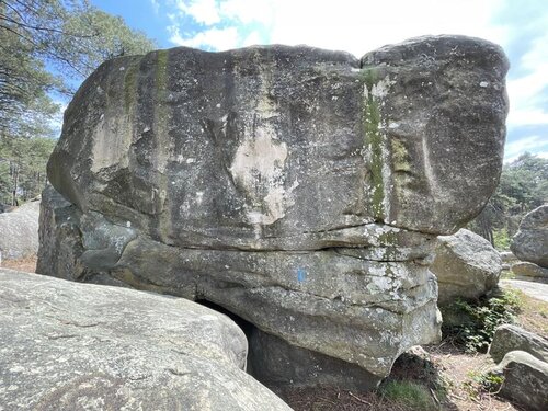 Image of Strip-Tease (6c)